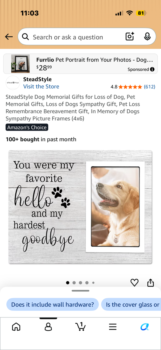 SteadStyle Dog Memorial Gifts for Loss of Dog, Pet Memorial Gifts, Loss of Dogs Sympathy Gift, Pet Loss Remembrance Bereavement Gift, In Memory of Dogs Sympathy Picture Frames (4x6