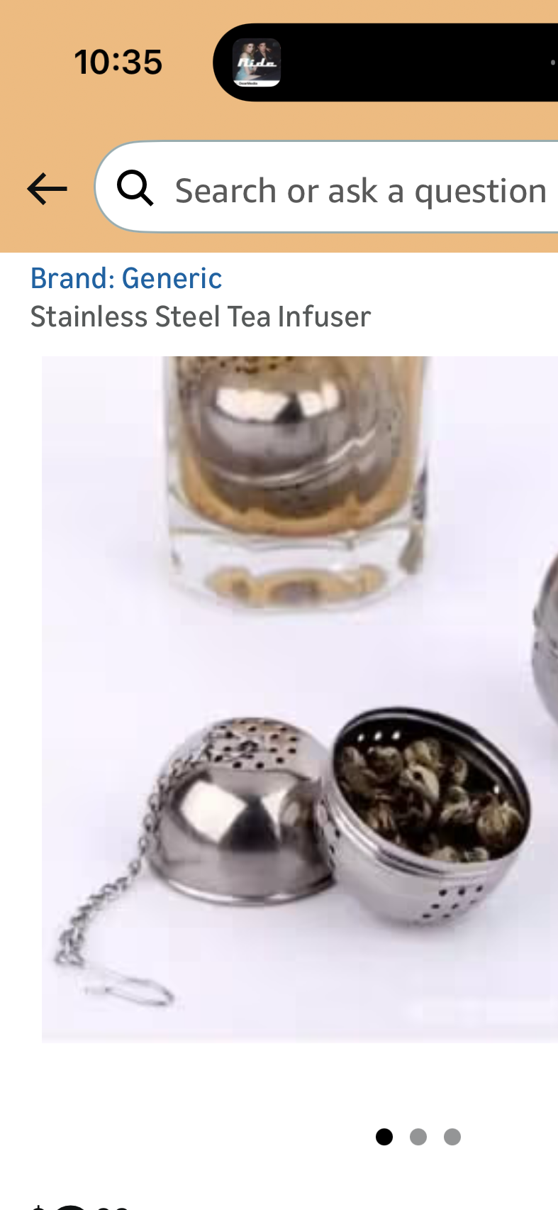 Stainless Steel Tea Infuser