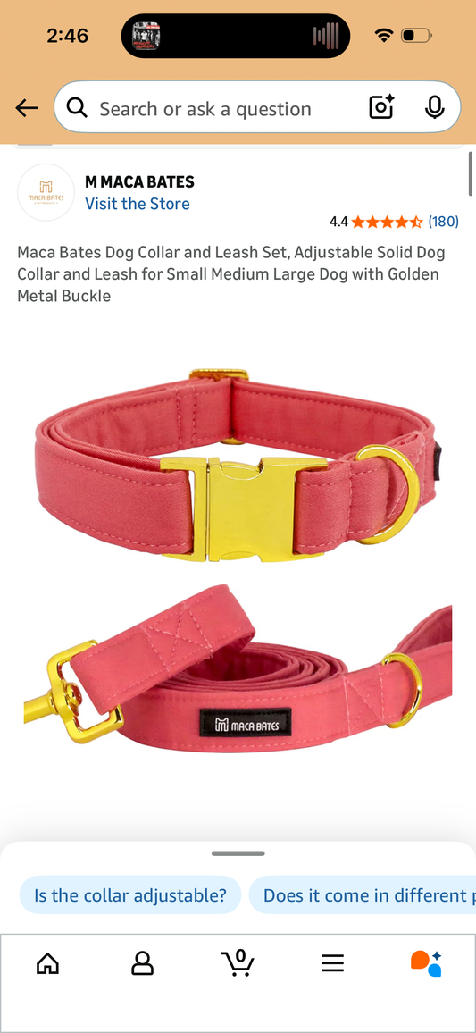 Maca Bates Dog Collar and Leash Set, Adjustable Solid Dog Collar and Leash for Medium Dogs with Golden Metal Buckle (Size Medium)