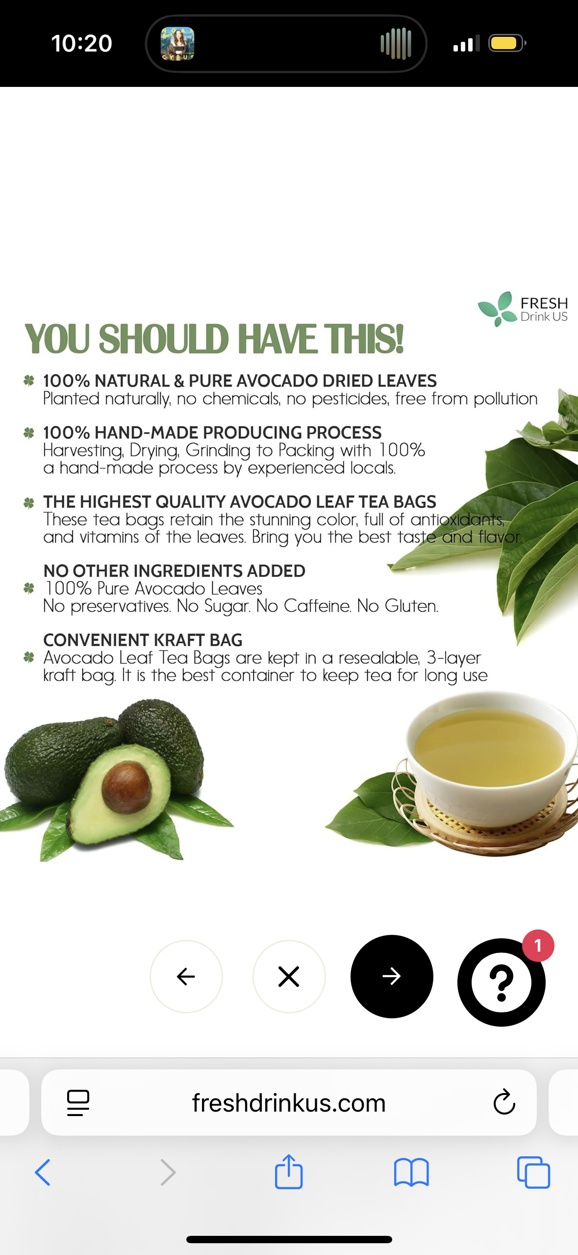 FreshDrinkUS, Premium 240+ Natural Avocado Whole Leaves Dried, 100% Pure form Avocado Leaves, Avocado Leaf Tea, Hojas de Aguacate Seca, No Additives, No Caffeine, Vegan