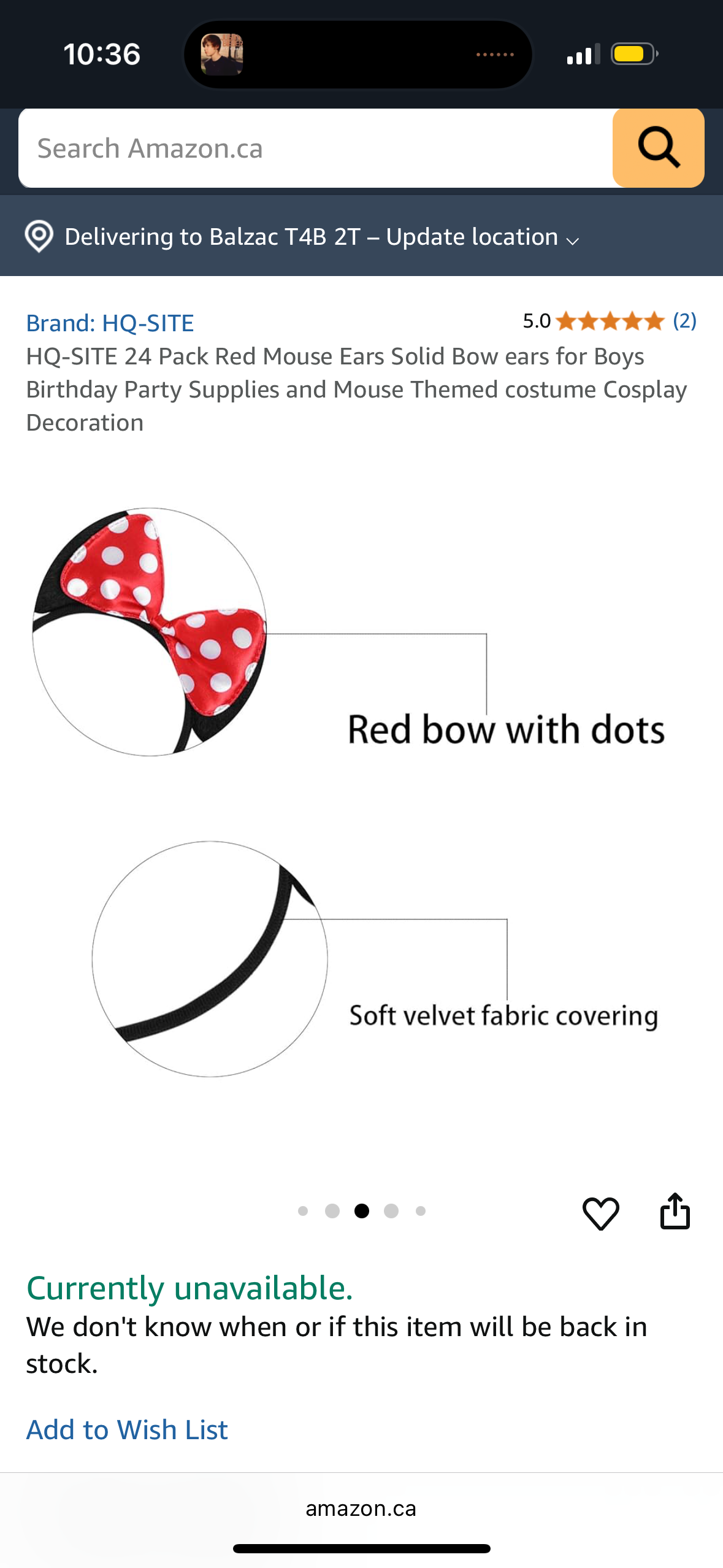HQ-SITE 24 Pack Red Mouse Ears for Birthday Party Favor Supplies and Mouse Themed costume Cosplay Decoration, Large
