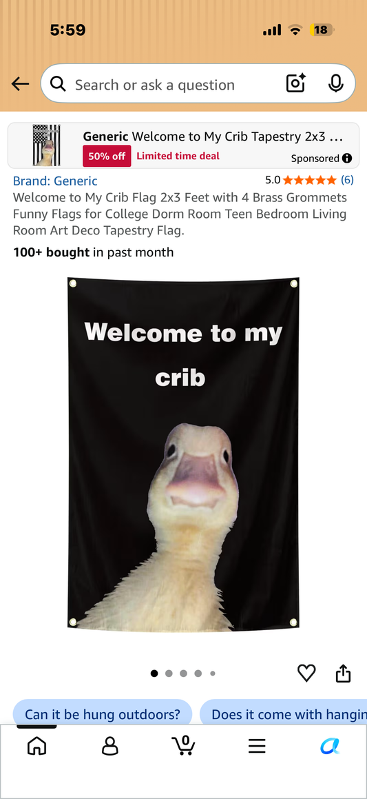 Welcome to My Crib Flag 2x3 Feet with 4 Brass Grommets Funny Flags for College Dorm Room Teen Bedroom Living Room Art Deco Tapestry Flag