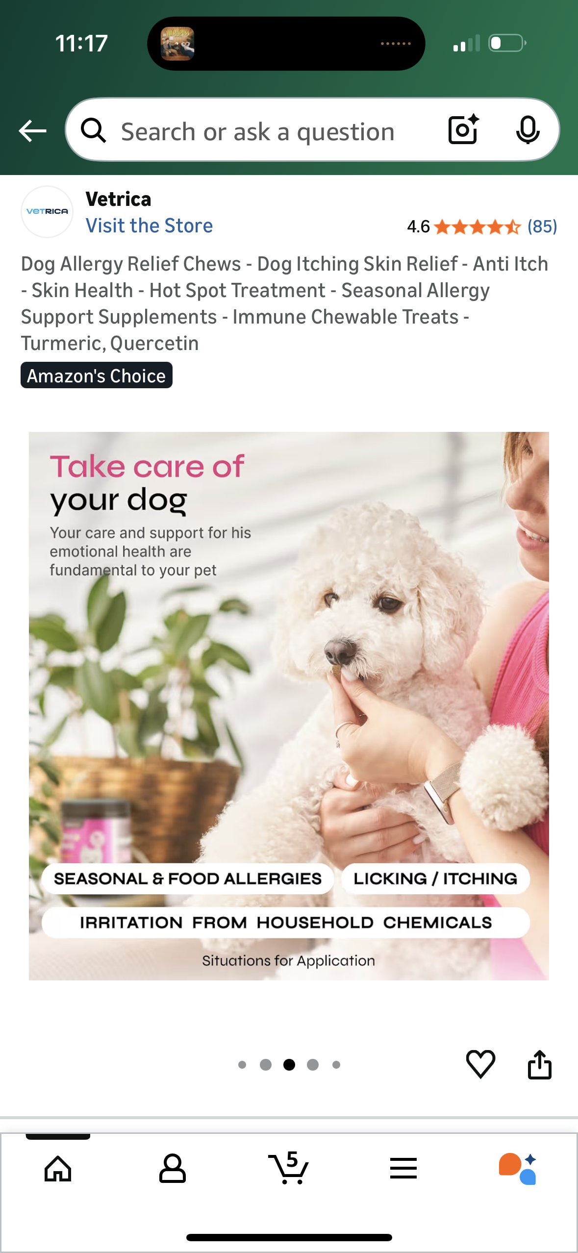 Dog Allergy Relief Chews - Dog Itching Skin Relief - Anti Itch - Skin Health - Hot Spot Treatment - Seasonal Allergy Support Supplements - Immune Chewable Treats - Turmeric, Quercetin