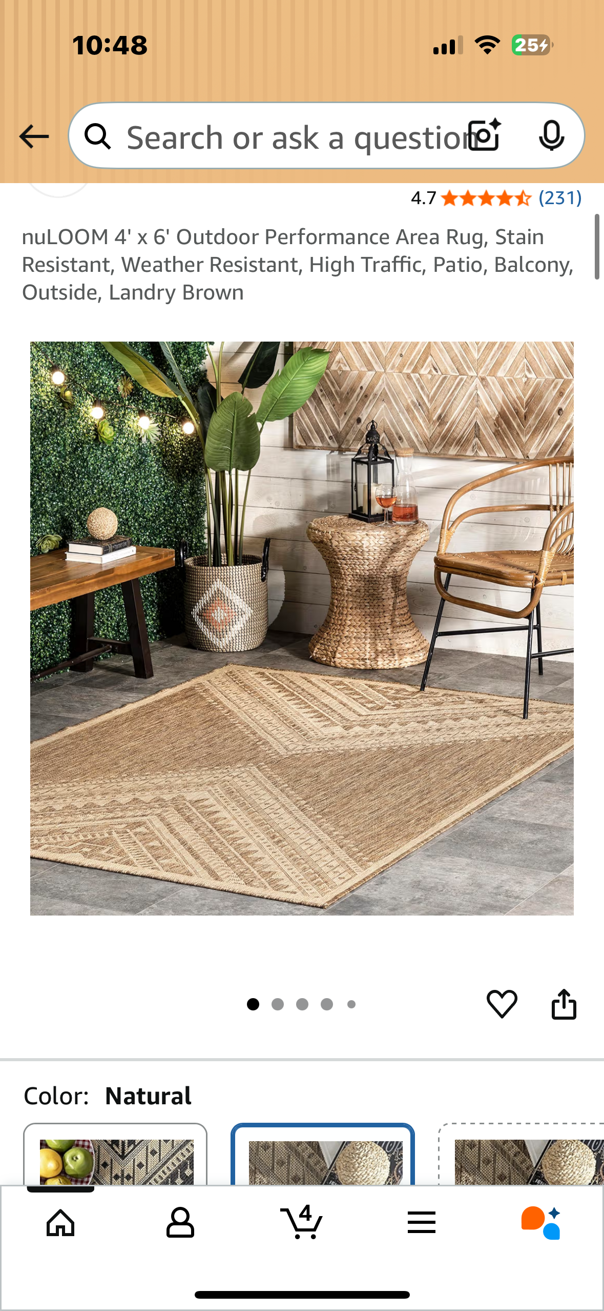 4' x 6' Outdoor Performance Area Rug, Stain Resistant, Weather Resistant, High Traffic, Patio, Balcony, Outside, Landry Brown (L1050)