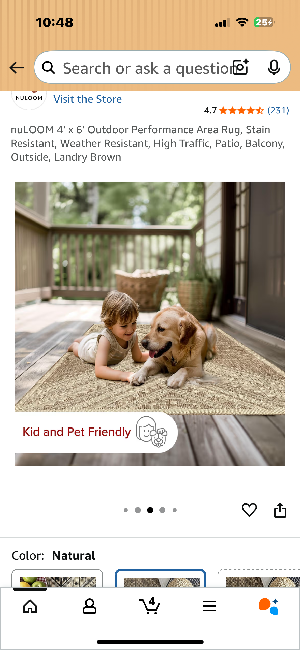 4' x 6' Outdoor Performance Area Rug, Stain Resistant, Weather Resistant, High Traffic, Patio, Balcony, Outside, Landry Brown (L1050)