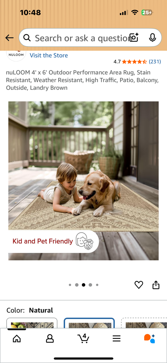 4' x 6' Outdoor Performance Area Rug, Stain Resistant, Weather Resistant, High Traffic, Patio, Balcony, Outside, Landry Brown (L1050)