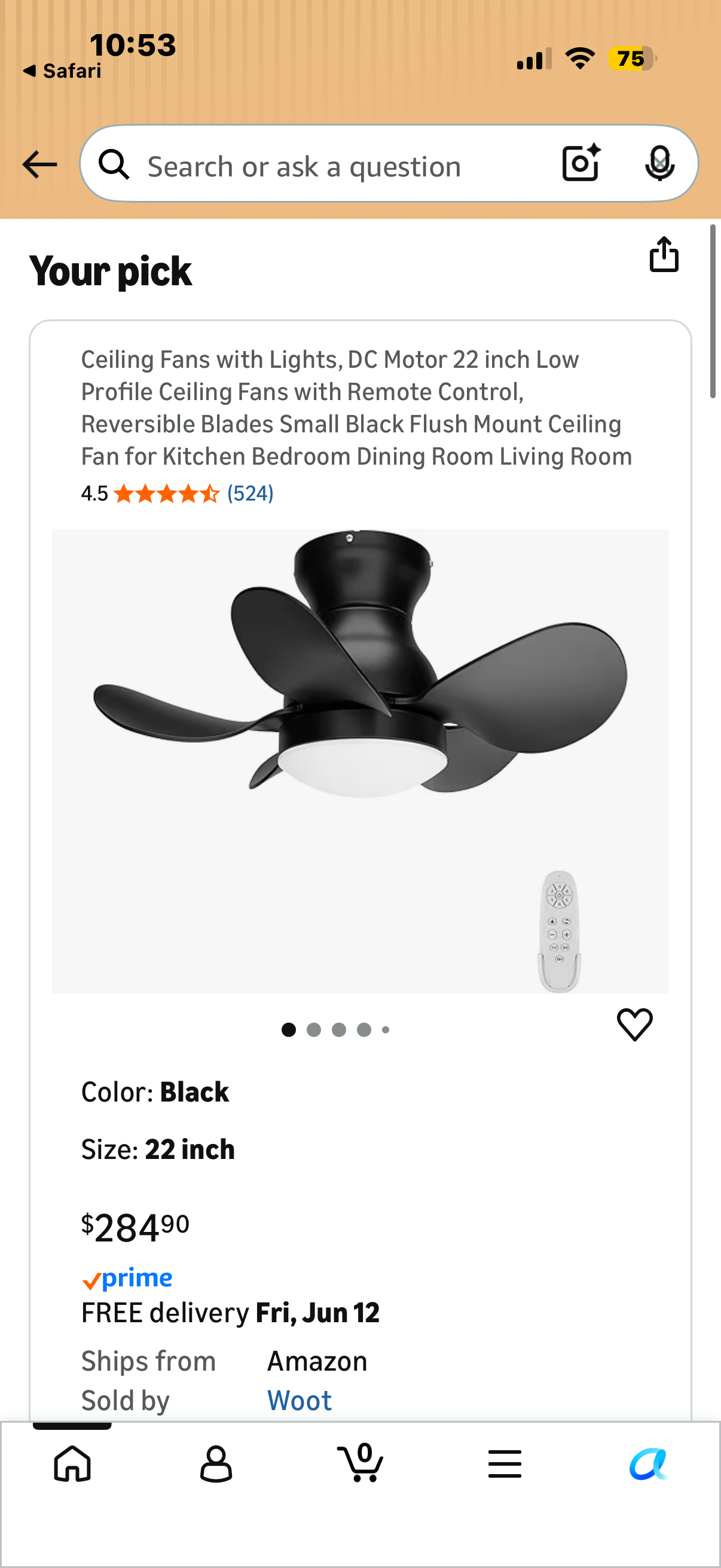Regair Ceiling Fans with Lights, DC Motor 22 inch Flush Mount Ceiling Fans with Lights and Remote Control, Reversible Blades Small White Quiet low profile Ceiling Fan