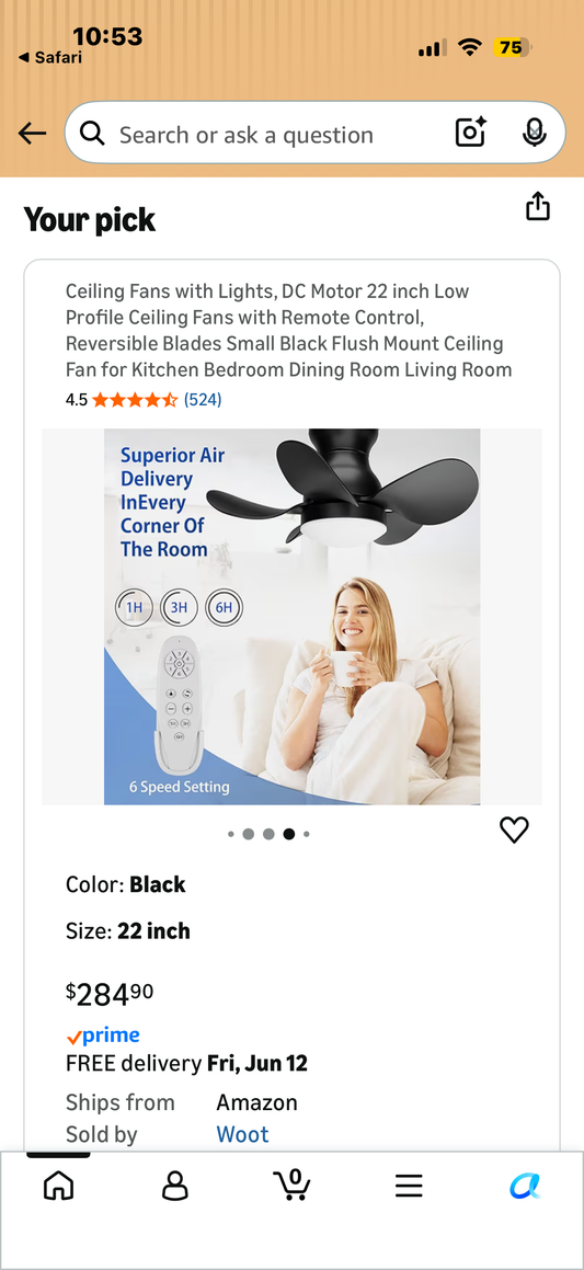 Regair Ceiling Fans with Lights, DC Motor 22 inch Flush Mount Ceiling Fans with Lights and Remote Control, Reversible Blades Small White Quiet low profile Ceiling Fan
