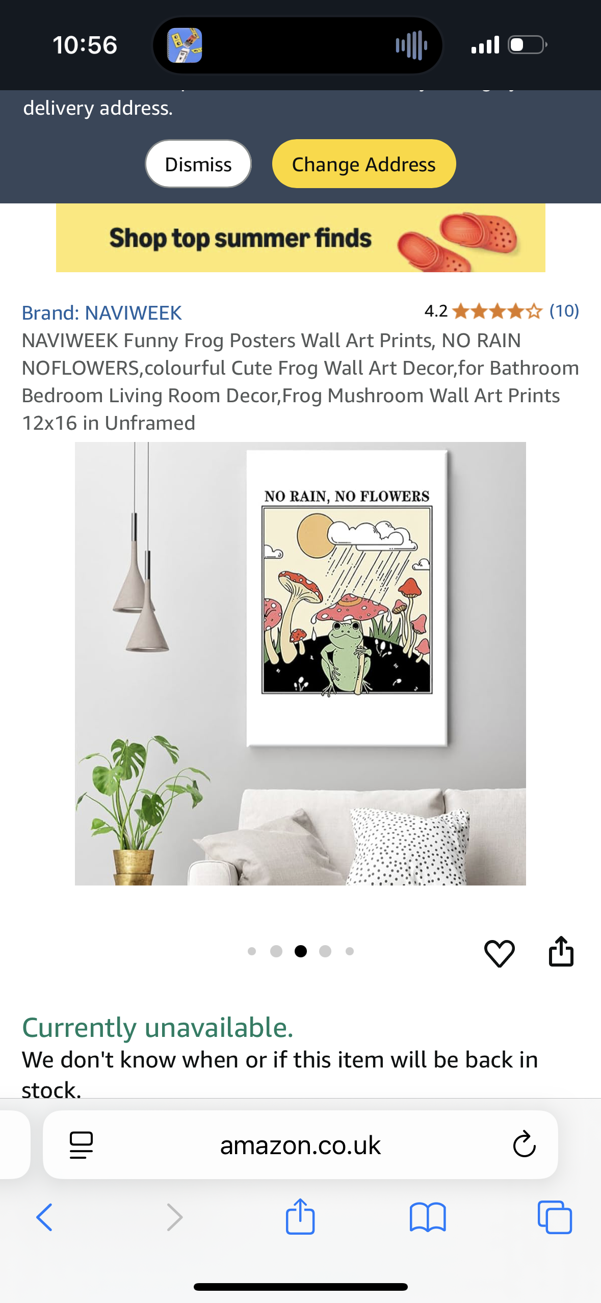 Funny Frog Posters Wall Art Prints, NO RAIN NOFLOWERS, Frog Mushroom Wall Art Prints *16x24 in* Unframed