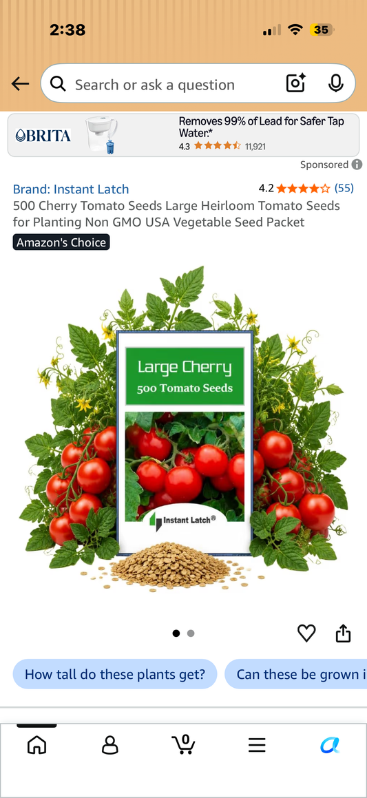 500 Cherry Tomato Seeds Large Heirloom Tomato Seeds for Planting Non GMO USA Vegetable Seed Packet