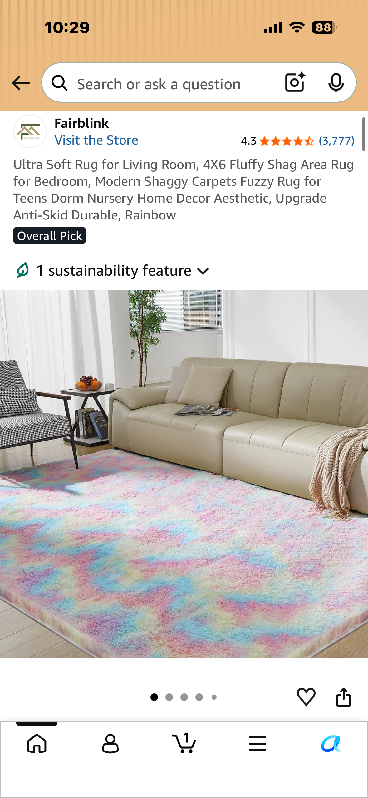 Ultra Soft 4X6 Shag Area Rug, Modern Shaggy Carpet. Fuzzy Anti-Skid Durable, Rainbow