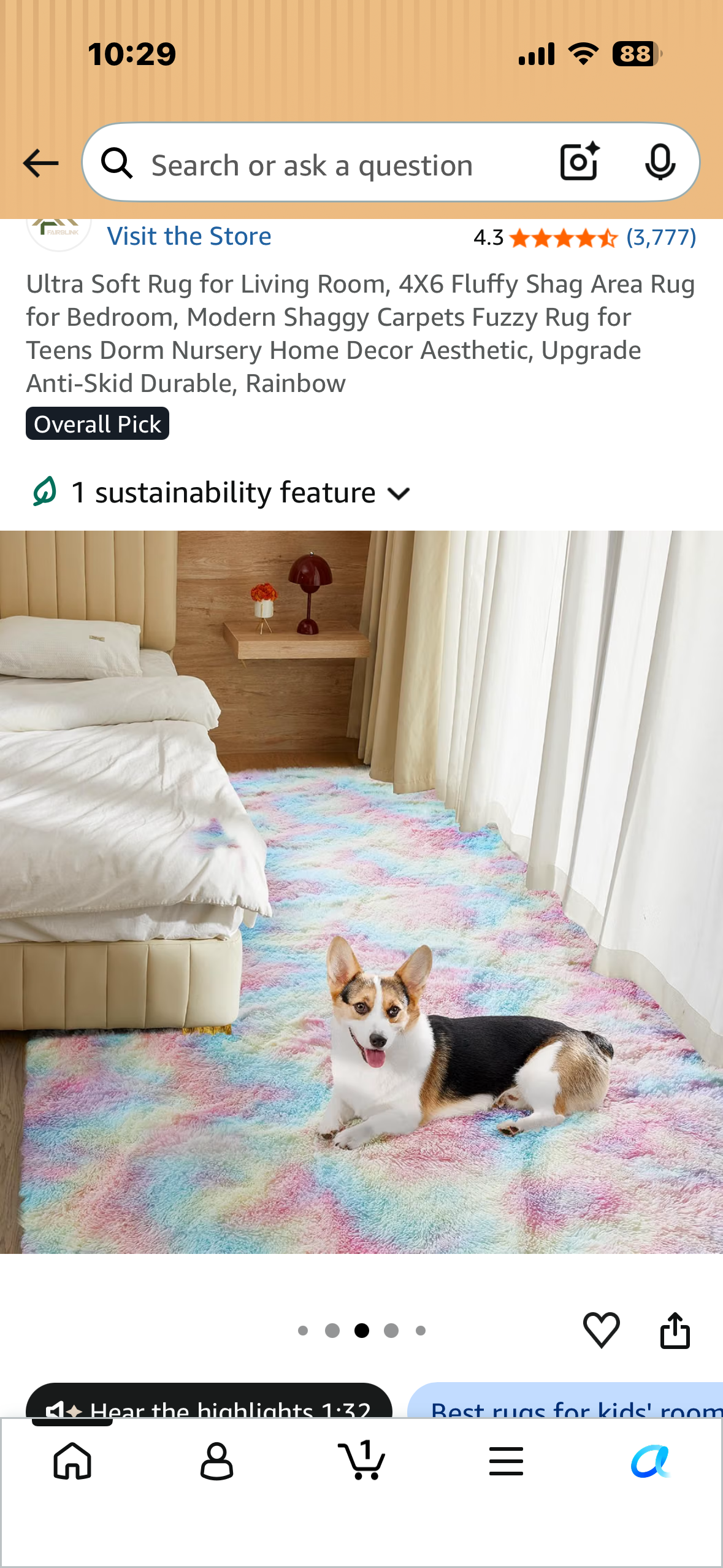 Ultra Soft 4X6 Shag Area Rug, Modern Shaggy Carpet. Fuzzy Anti-Skid Durable, Rainbow