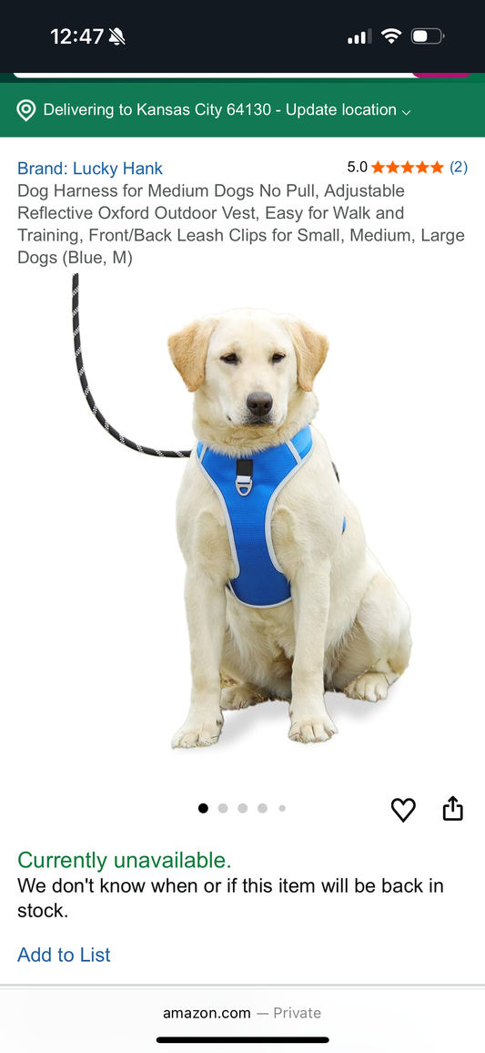 Lucky Hank No Pull Dog Harness and Leash Set, Adjustable, Washable, and Easy to Use Dog Vest Harness for Walking and Training, Medium Dogs (Size Medium)