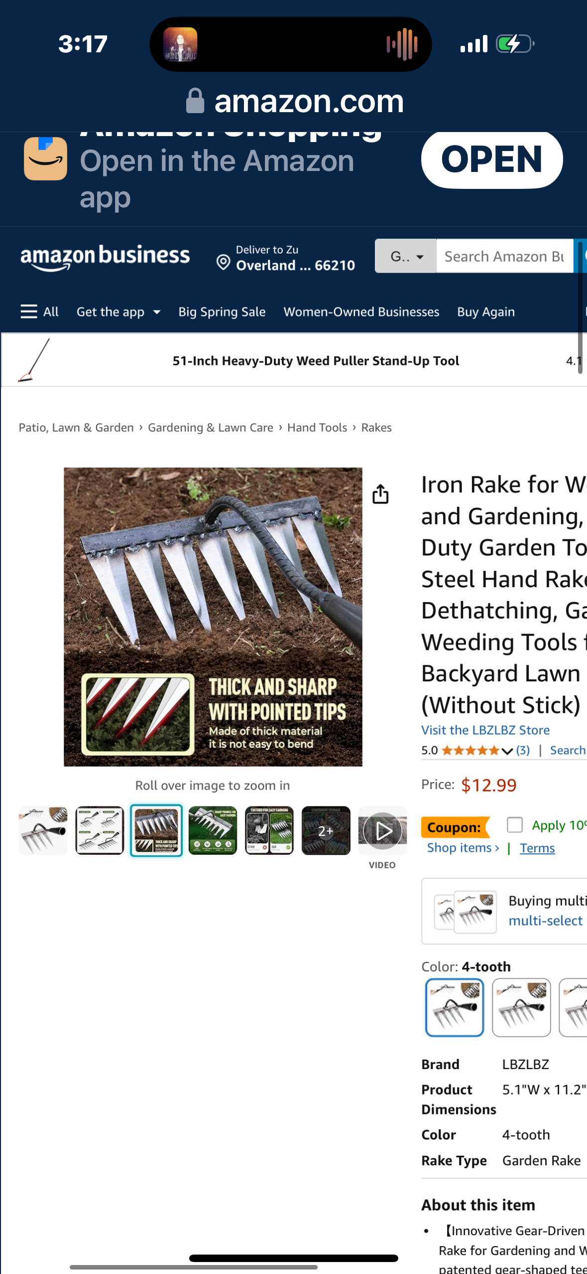 Heavy Duty Rake 4 Toothed Steel,Iron Rake for Gardening and Weeding - Heavy Duty Garden Tool, Carbon Steel Hand Rake for Sturdy Dethatching