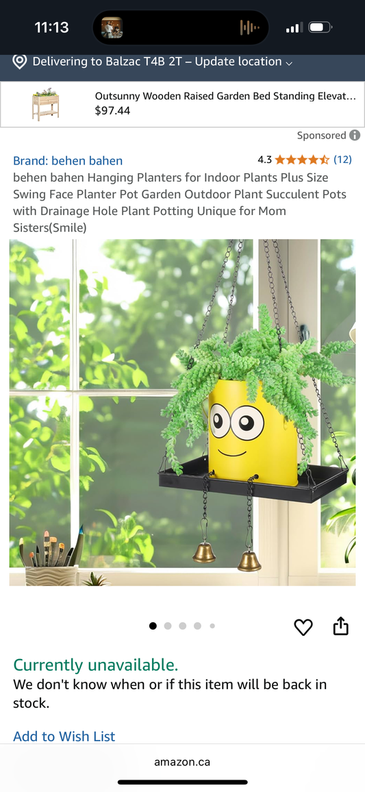 behen bahen Hanging Planters for Indoor Plants Plus Size Swing Face Planter Pot Garden Outdoor Plant Succulent Pots with Drainage Hole Plant Potting Unique for Mom Sisters(Smile)