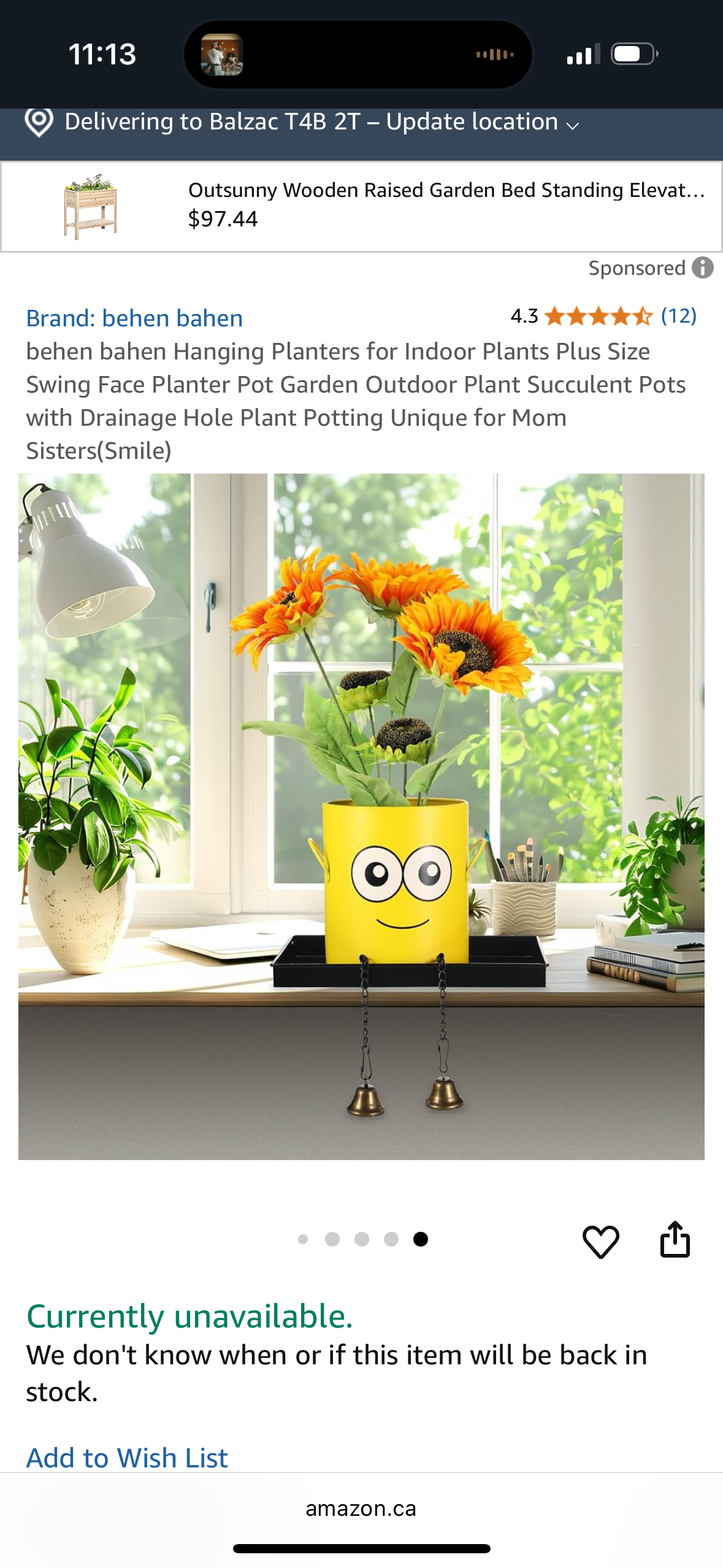 behen bahen Hanging Planters for Indoor Plants Plus Size Swing Face Planter Pot Garden Outdoor Plant Succulent Pots with Drainage Hole Plant Potting Unique for Mom Sisters(Smile)