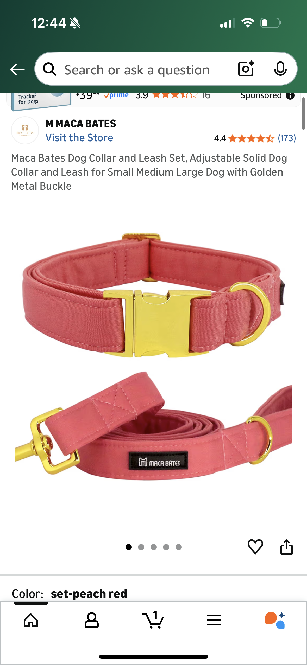Maca Bates Dog Collar and Leash Set, Adjustable Solid Dog Collar and Leash for Small Medium Large Dog with Golden Metal Buckle