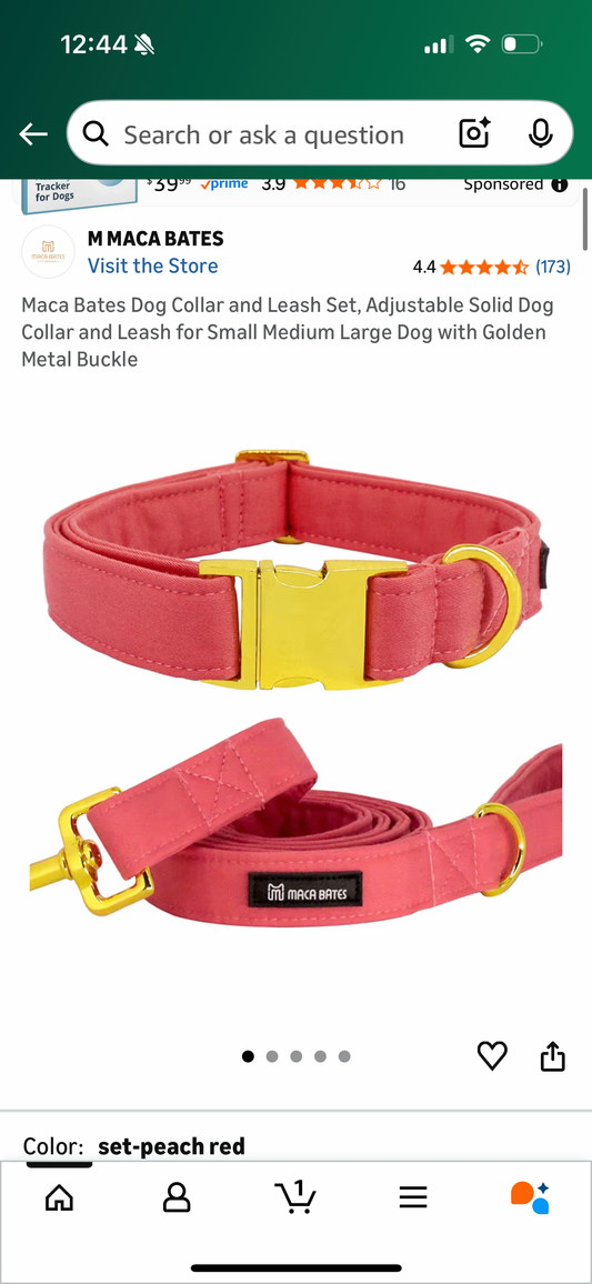 Maca Bates Dog Collar and Leash Set, Adjustable Solid Dog Collar and Leash for Small Medium Large Dog with Golden Metal Buckle
