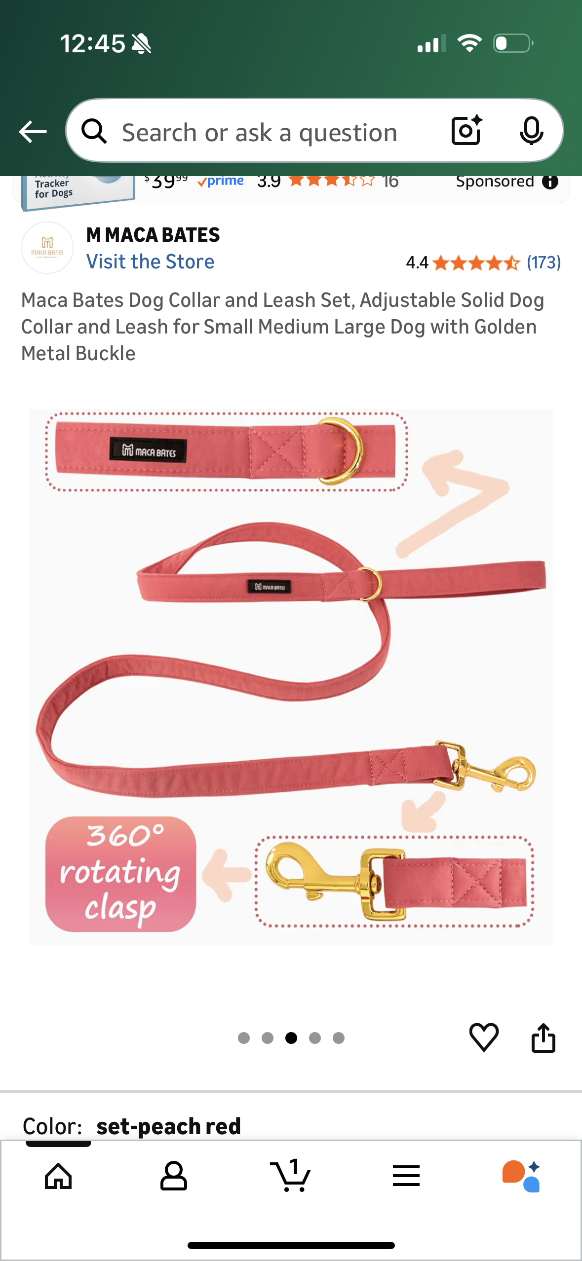 Maca Bates Dog Collar and Leash Set, Adjustable Solid Dog Collar and Leash for Small Medium Large Dog with Golden Metal Buckle