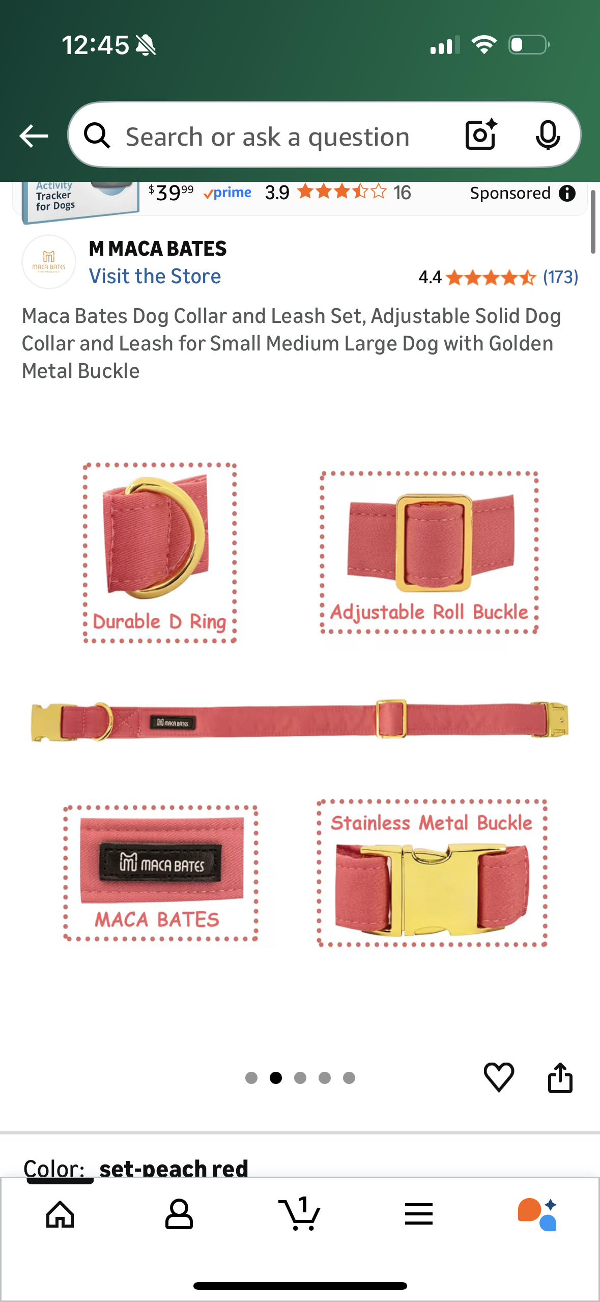 Maca Bates Dog Collar and Leash Set, Adjustable Solid Dog Collar and Leash for Small Medium Large Dog with Golden Metal Buckle