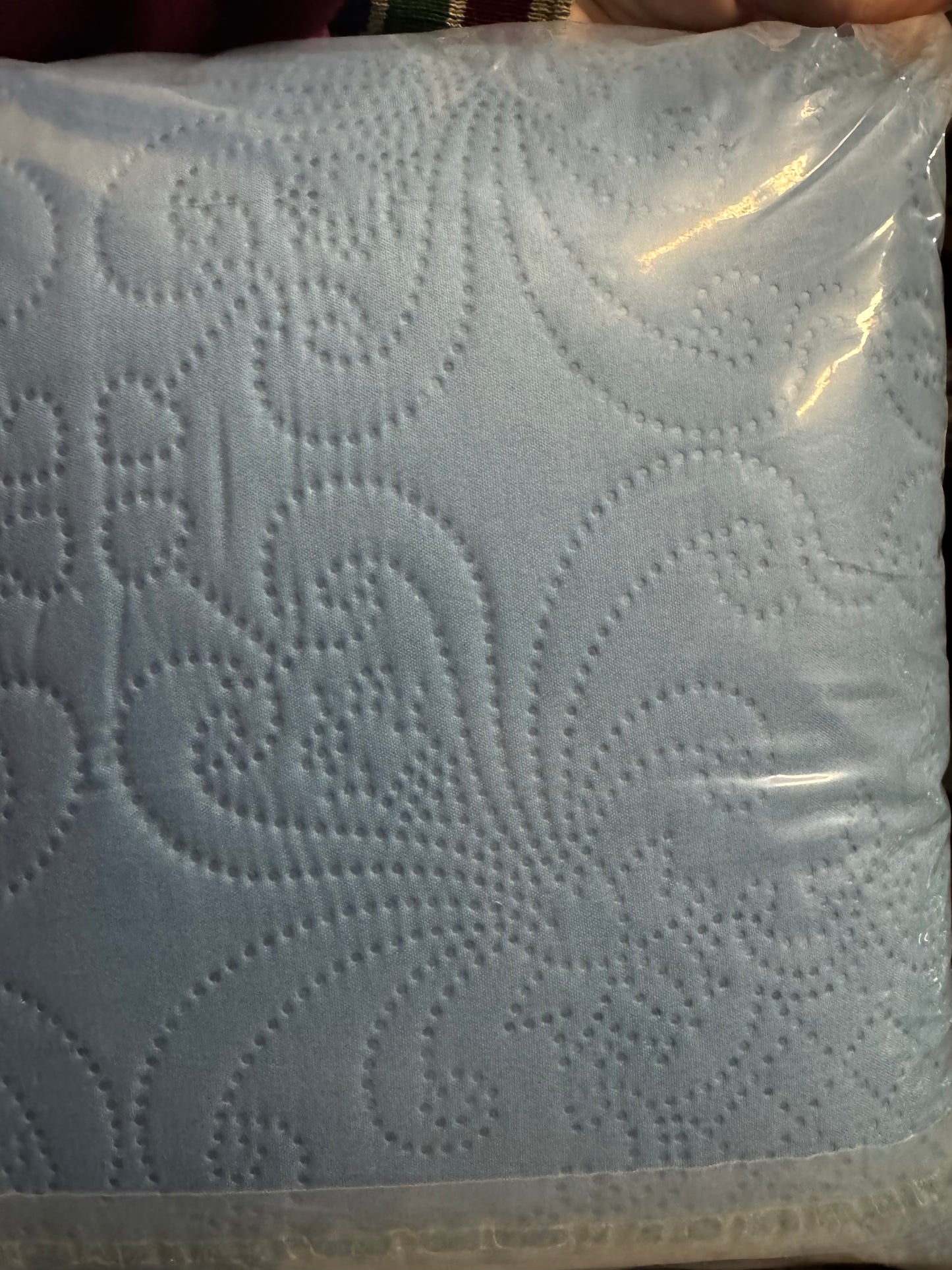 Auemtyn Twin/Twin XL Size Quilt Set 2 Pieces, Soft Lightweight Summer Bedspread, Reversible Microfiber Bed Coverlet for All Seasons, Spa Blue, Cloud-Floral Pattern (1 Quilt, 1 Pillow Sham)