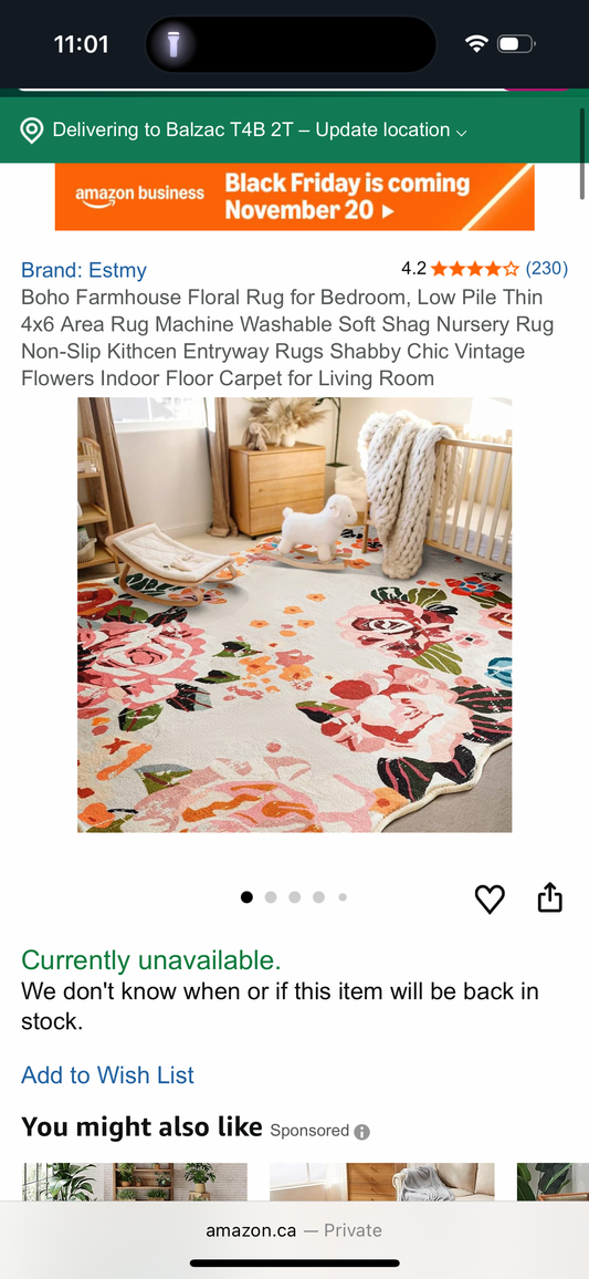 Boho Farmhouse Floral Rug for Bedroom, Low Pile Thin 4x6 Area Rug Machine Washable Soft Shag Nursery Rug Non-Slip Kithcen Entryway Rugs Shabby Chic Vintage Flowers Indoor Floor Carpet for Living Room