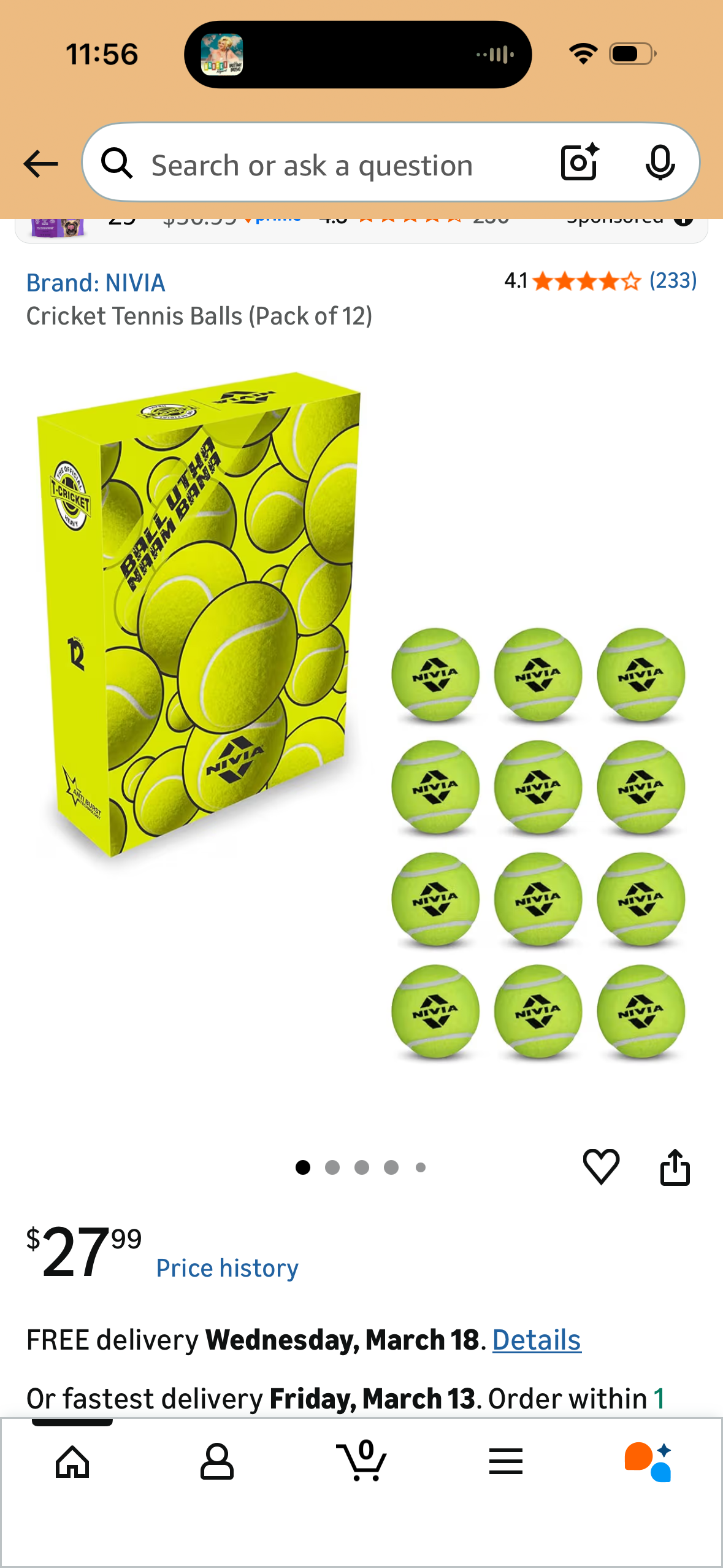 Cricket Tennis Balls (Pack of 12)