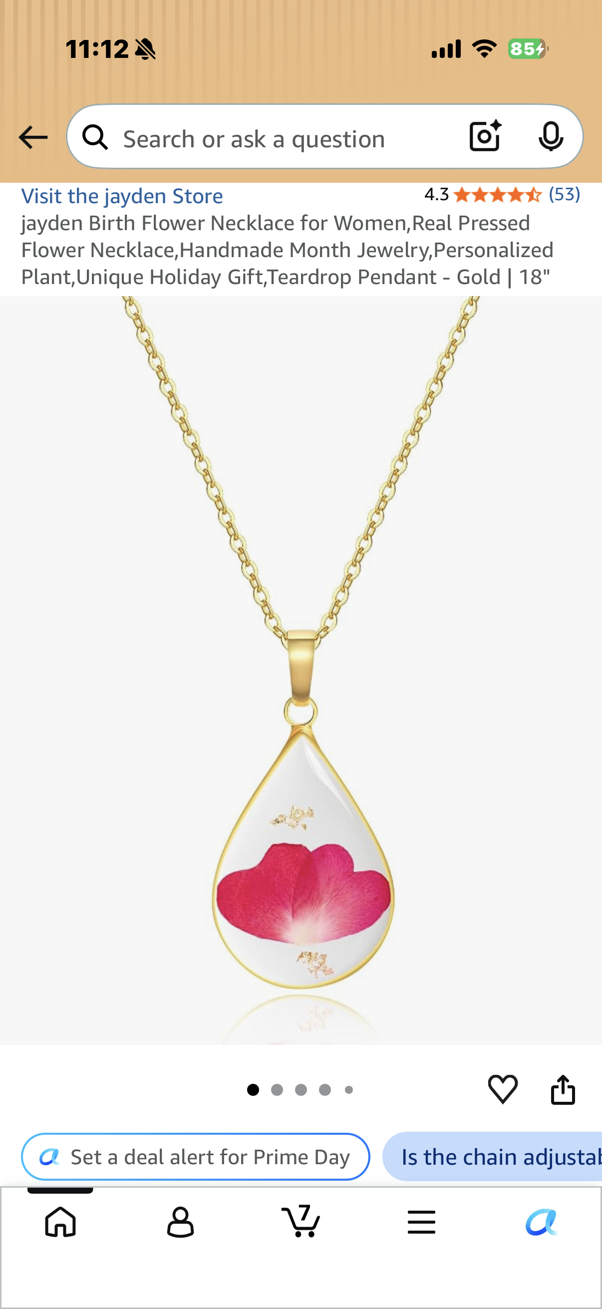 Birth Flower Necklace for Women,Real Pressed Flower Necklace,Handmade Month Jewelry,Personalized Plant,Unique Holiday Gift,Teardrop Pendant JANUARY