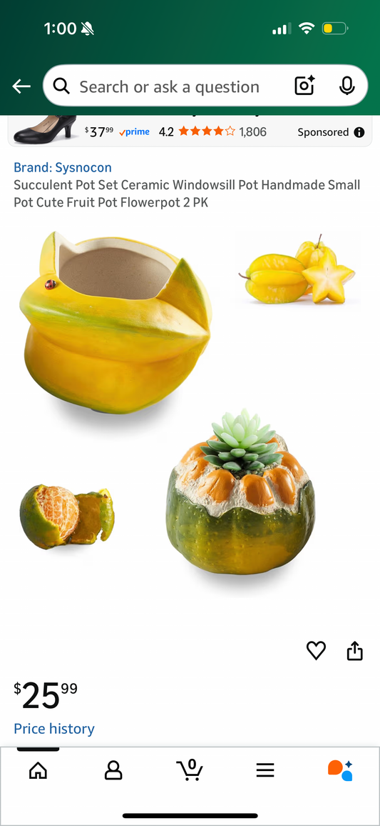 Succulent Pot Set Ceramic Windowsill Pot Handmade Small Pot Cute Fruit Pot Flowerpot 2 PK