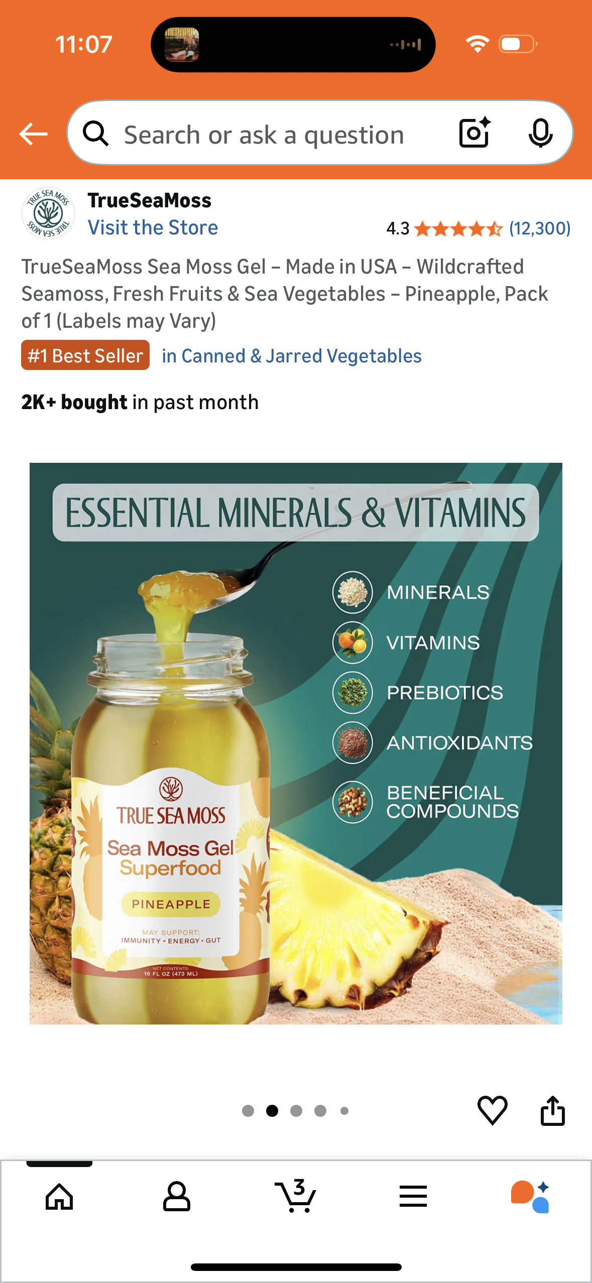 TrueSeaMoss Sea Moss Gel – Made in USA – Wildcrafted Seamoss, Fresh Fruits & Sea Vegetables – Pineapple, Pack of 1 (Labels may Vary)