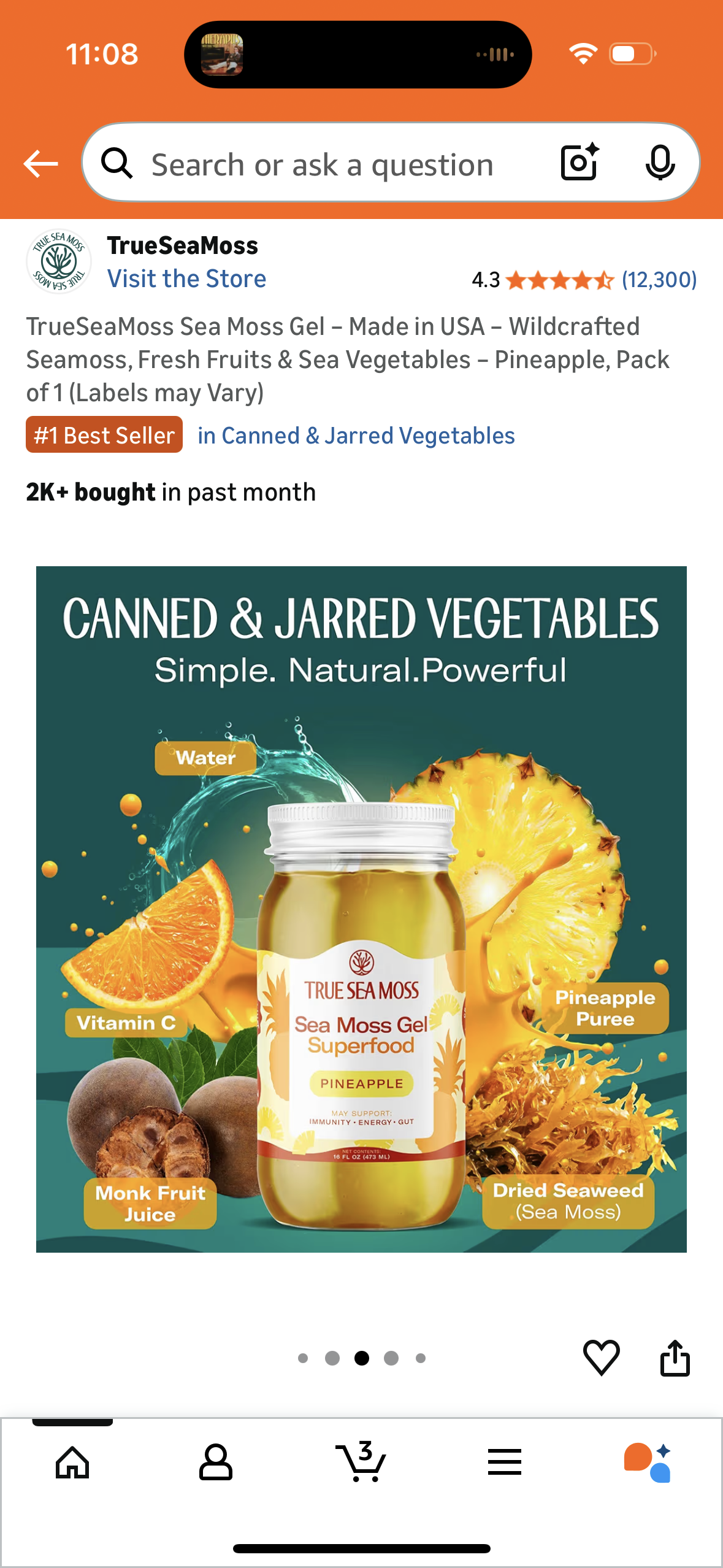 TrueSeaMoss Sea Moss Gel – Made in USA – Wildcrafted Seamoss, Fresh Fruits & Sea Vegetables – Pineapple, Pack of 1 (Labels may Vary)