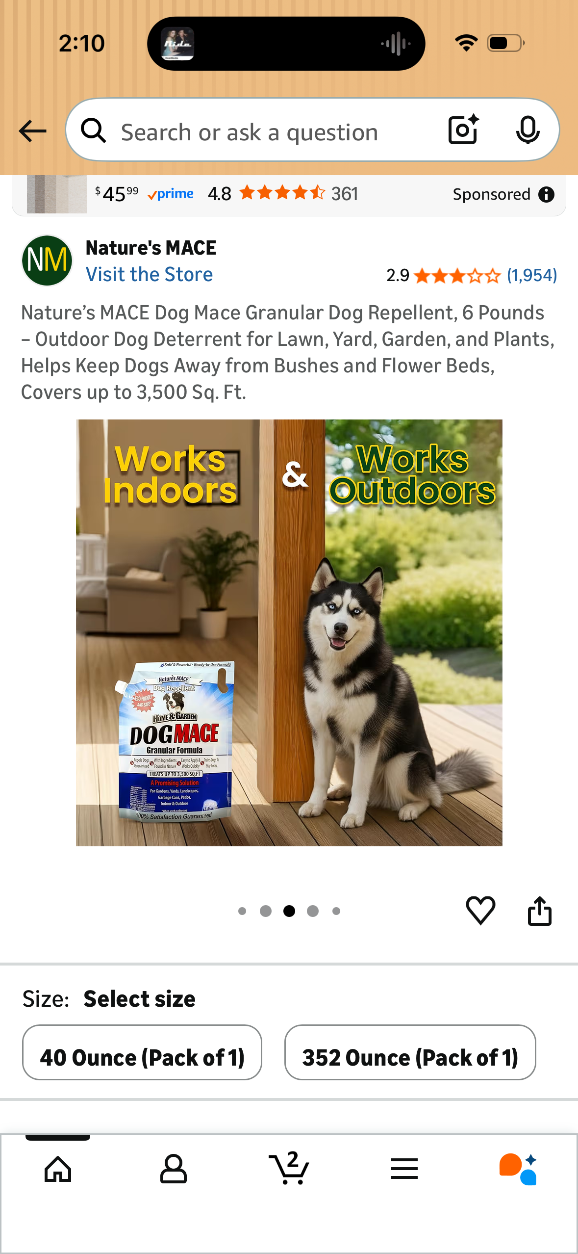 Nature’s MACE Dog Mace Granular Dog Repellent, 6 Pounds – Outdoor Dog Deterrent for Lawn, Yard, Garden, and Plants, Helps Keep Dogs Away from Bushes and Flower Beds, Covers up to 3,500 Sq. Ft.