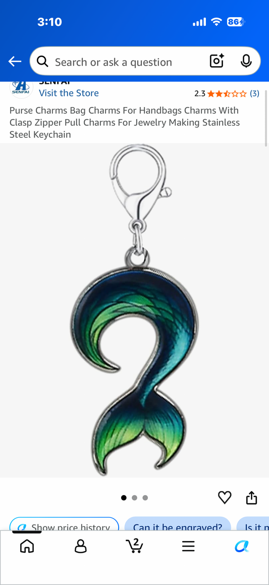 Purse Charms Bag Charms For Handbags Charms With Clasp Zipper Pull Charms For Jewelry Making Stainless Steel Keychain