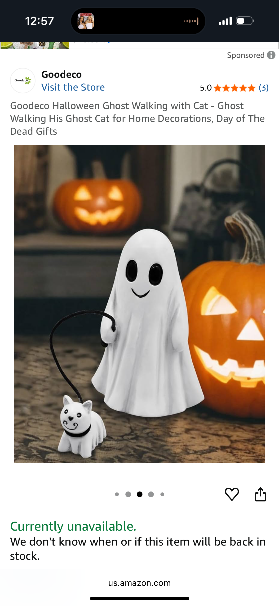 Goodeco Halloween Ghost Walking with Cat - Ghost Walking His Ghost Cat for Home Decorations, Day of The Dead Gifts