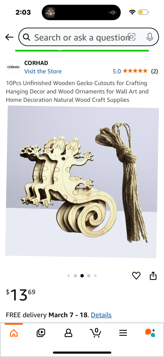10Pcs Unfinished Wooden Gecko Cutouts for Crafting Hanging Decor and Wood Ornaments for Wall Art and Home Decoration Natural Wood Craft Supplies