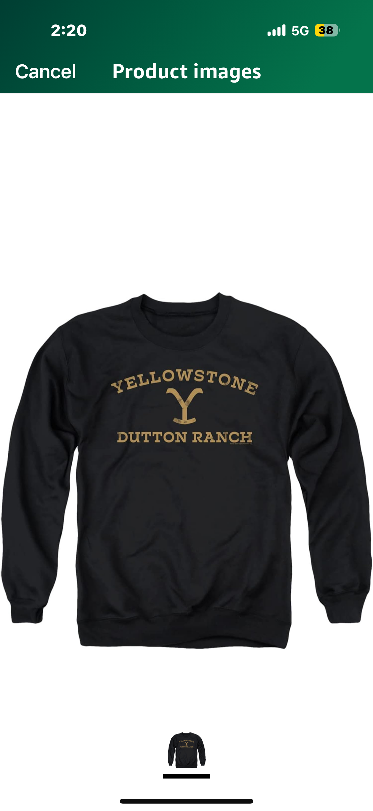 Yellowstone Arched Logo Unisex Adult Crewneck Sweatshirt (Size Medium)