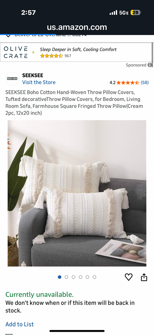 SEEKSEE Boho Cotton Hand-Woven Throw Pillow Covers, Tufted decorativeThrow Pillow Covers, for Bedroom, Living Room Sofa, Farmhouse Square Fringed Throw Pillow (Cream 2pc, 18x18 inch)