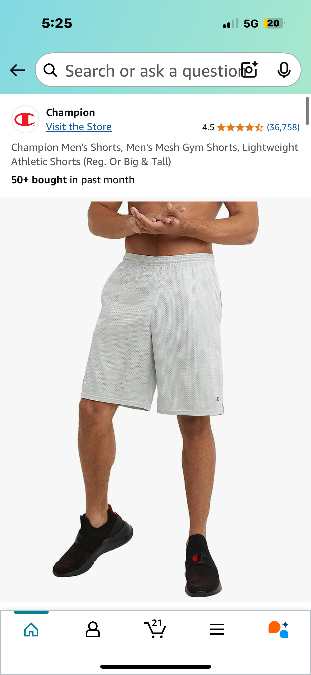 Champion Men's Mesh Gym Shorts, Lightweight, Grey (Size 2XL)