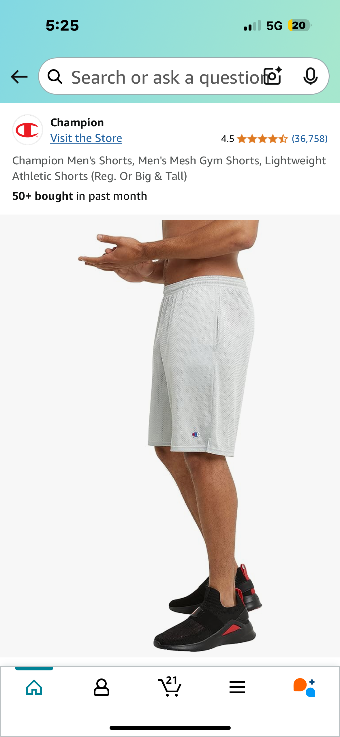 Champion Men's Mesh Gym Shorts, Lightweight, Grey (Size 2XL)