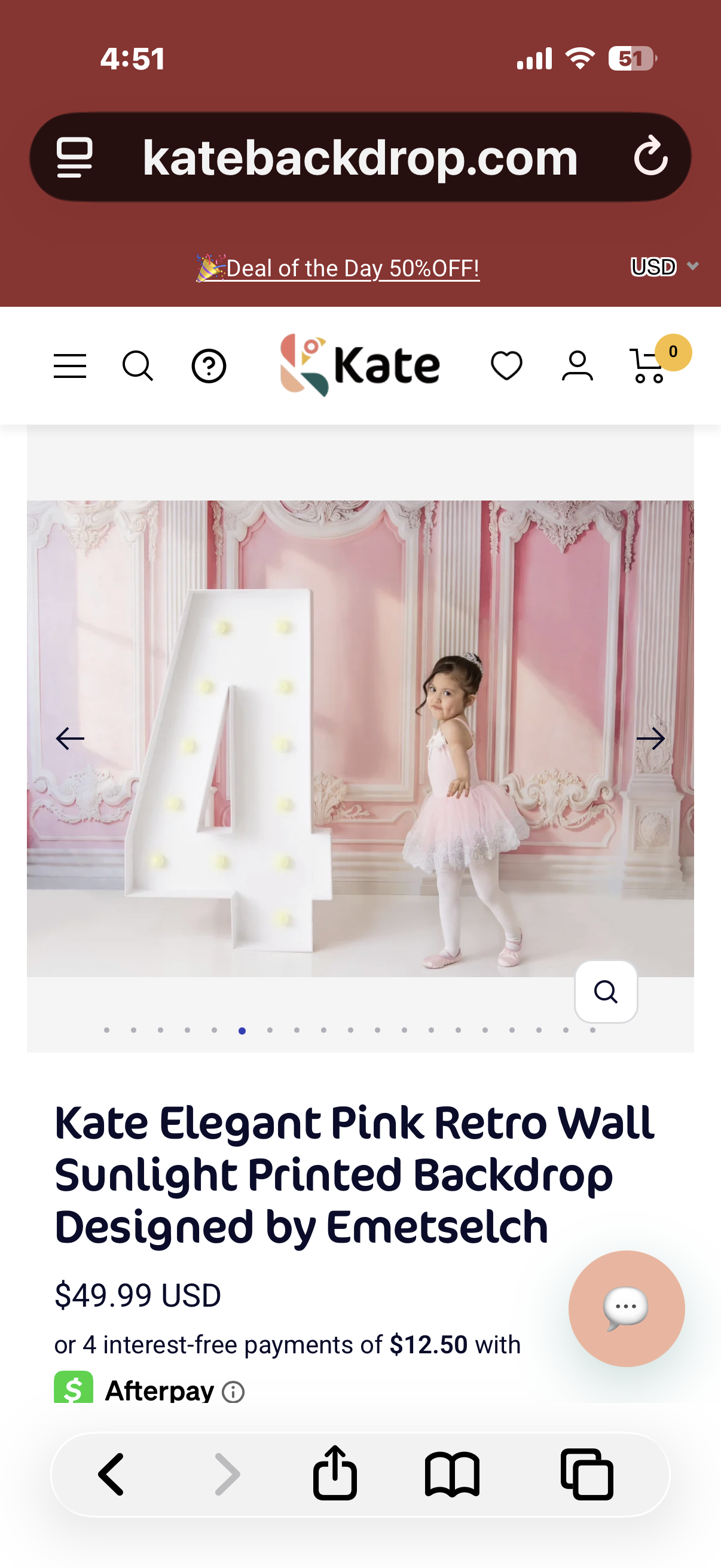Kate Elegant Pink Retro Wall Sunlight Printed Backdrop Designed by Emetselch