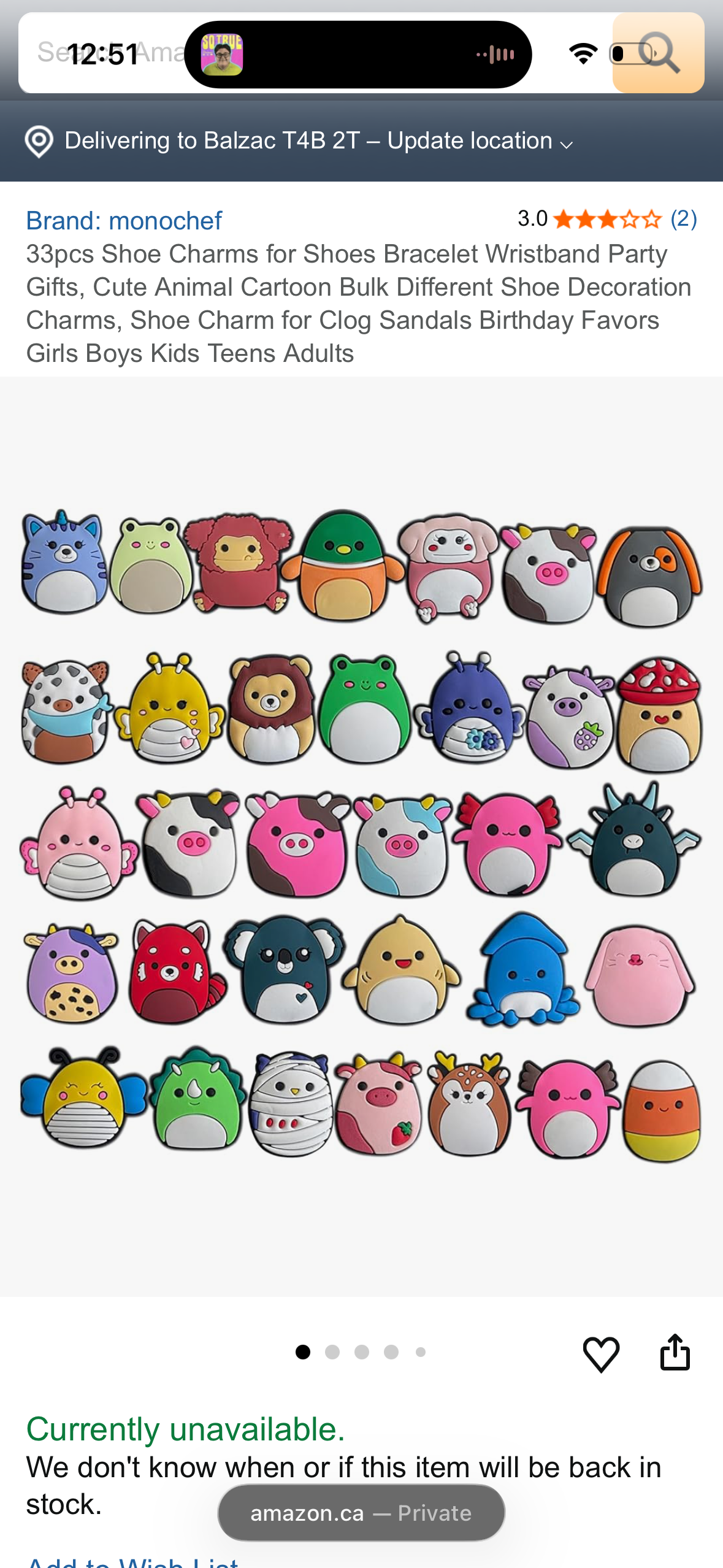 33pcs Shoe Charms for Shoes Bracelet Wristband Party Gifts, Cute Animal Cartoon Bulk Different Shoe Decoration Charms, Shoe Charm for Clog Sandals Birthday Favors Girls Boys Kids Teens Adults