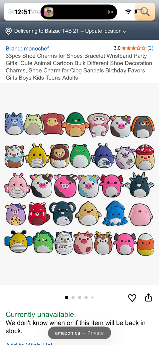 33pcs Shoe Charms for Shoes Bracelet Wristband Party Gifts, Cute Animal Cartoon Bulk Different Shoe Decoration Charms, Shoe Charm for Clog Sandals Birthday Favors Girls Boys Kids Teens Adults