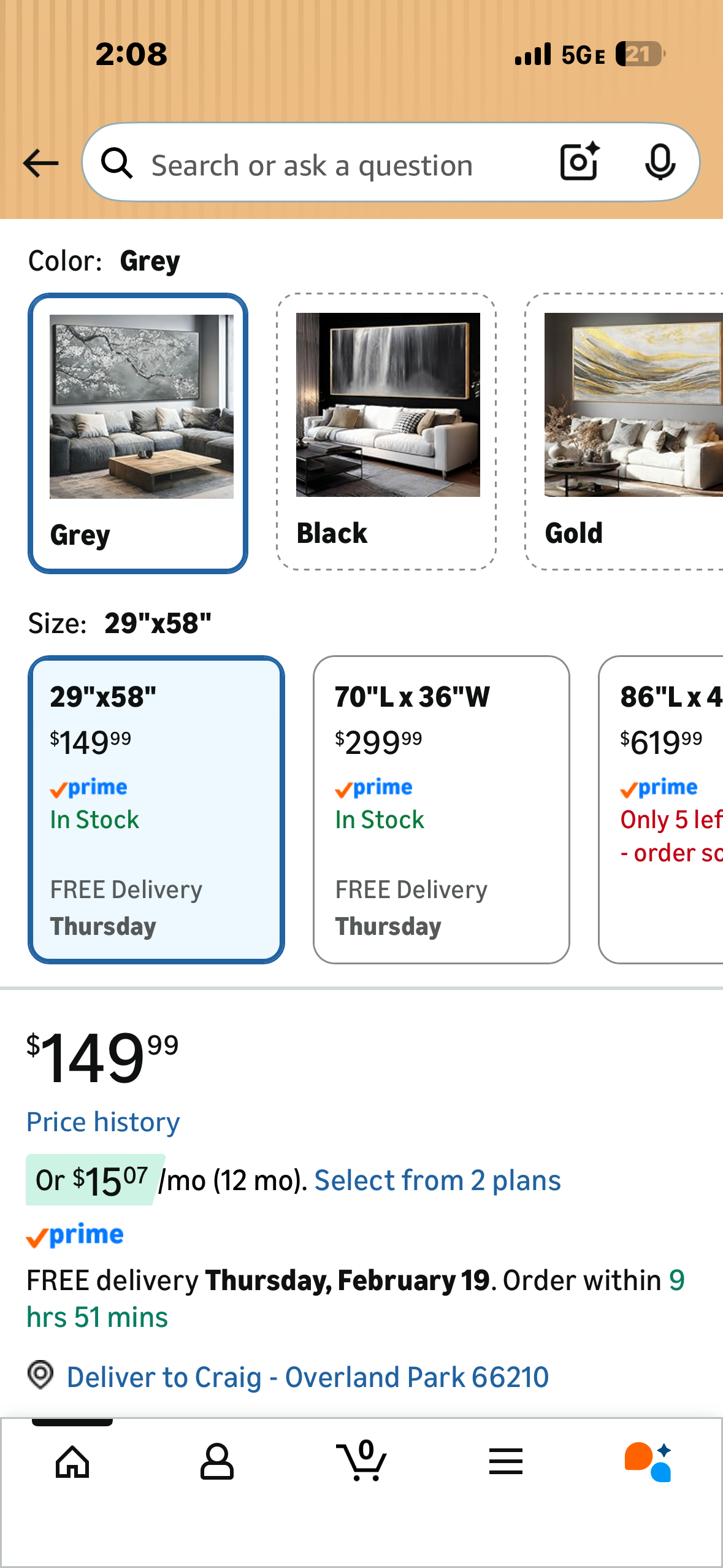 Funaluz Feather Dove Bird Large Wall Art White and Gray Peaceful
Bird Flying (L1183)