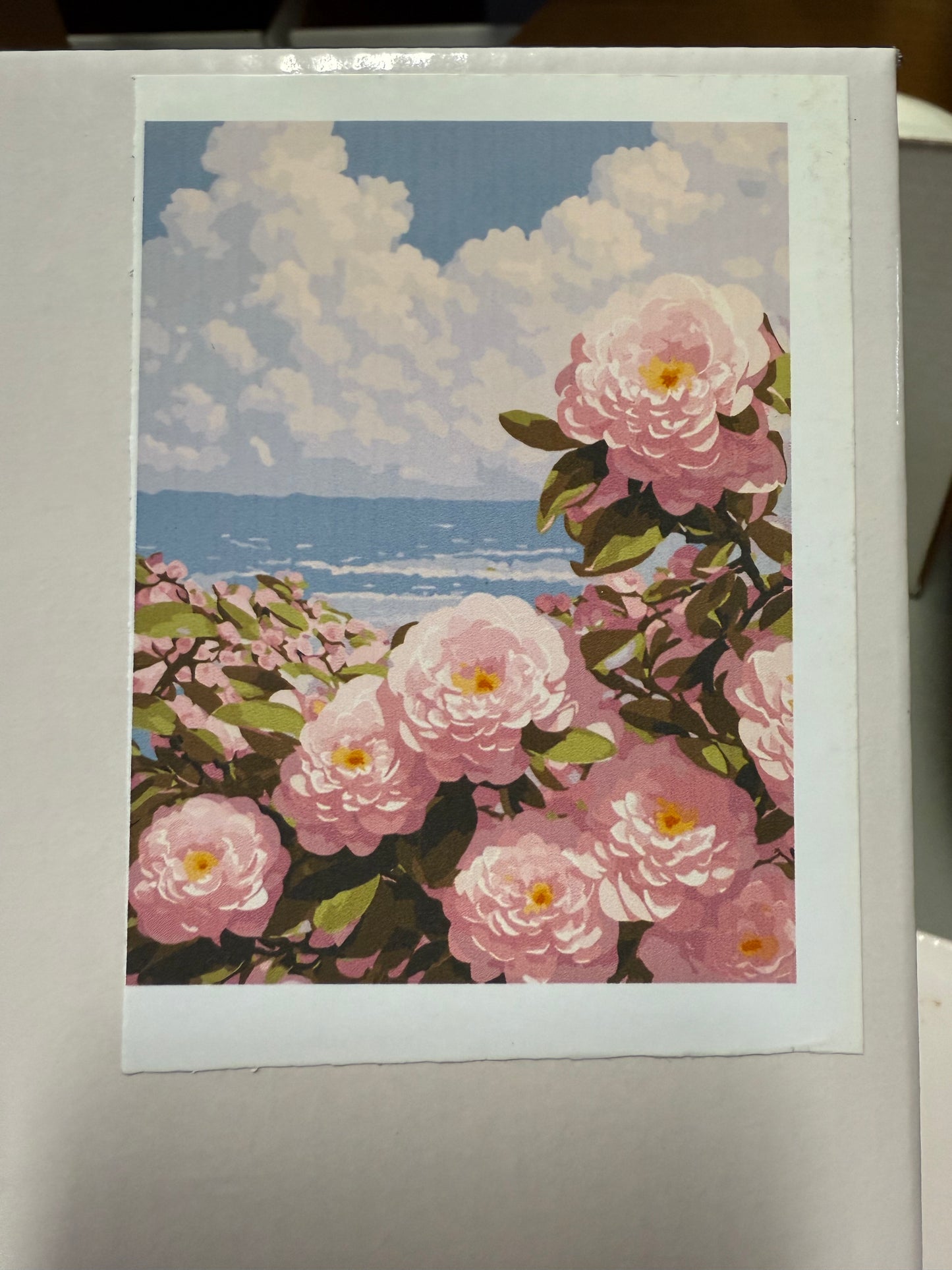 Generic Paint by Numbers Kit for Adults Kids Beginners, Color by Numbers for Adults,Acrylic Paint Kit,Paint for Canvas Painting with Frame (11.8x15.8 inches), HQ-G-003-10