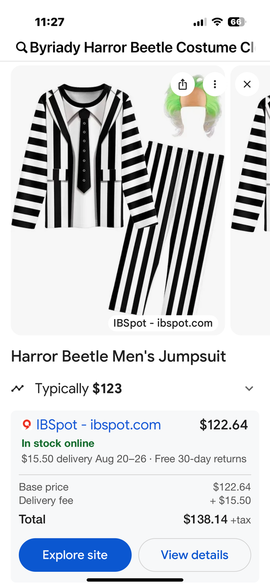Byriady Harror Beetle Costume Clothes For Adult Halloween Costume jumpsuit Wear Men (Size XL)