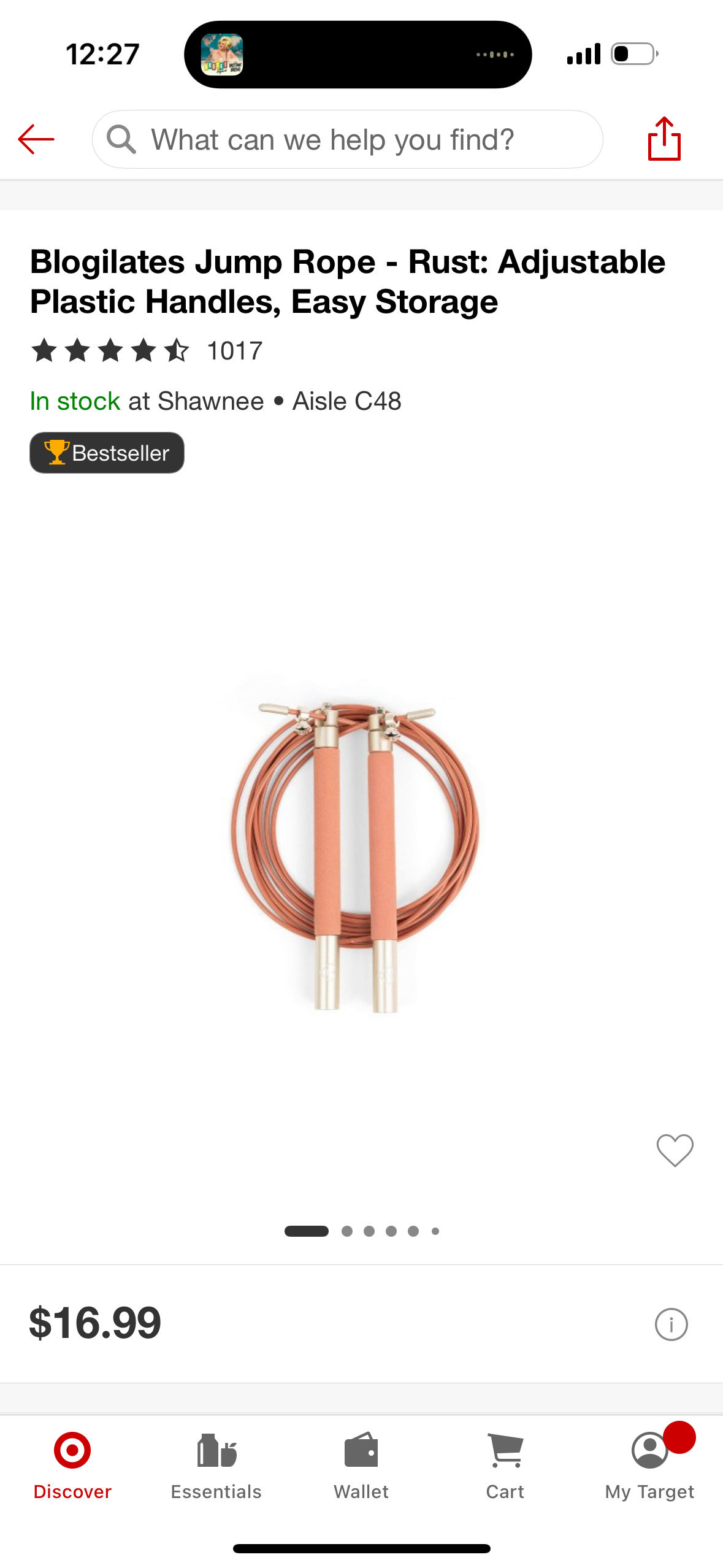 Blogilates Jump Rope - Rust: Adjustable Plastic Handles, Easy Storage