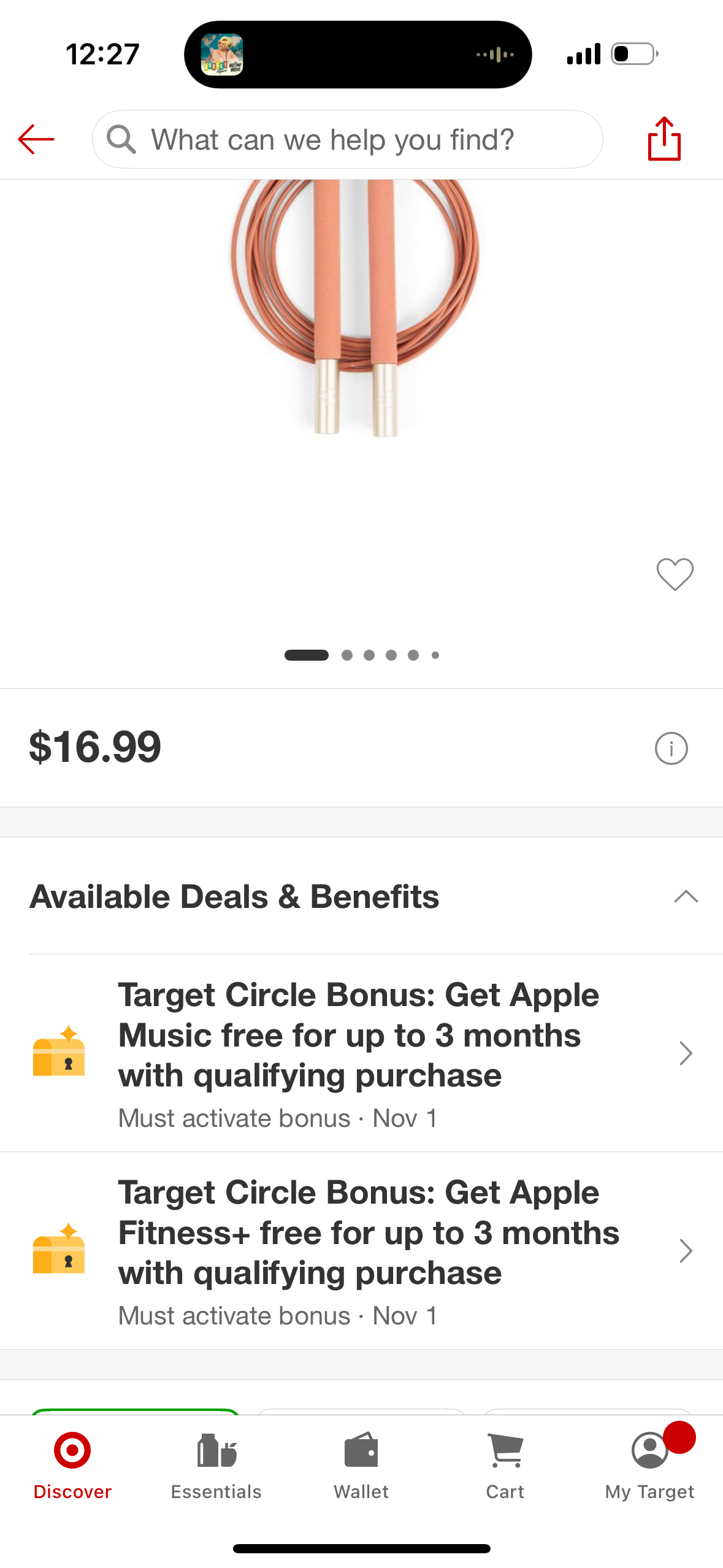 Blogilates Jump Rope - Rust: Adjustable Plastic Handles, Easy Storage