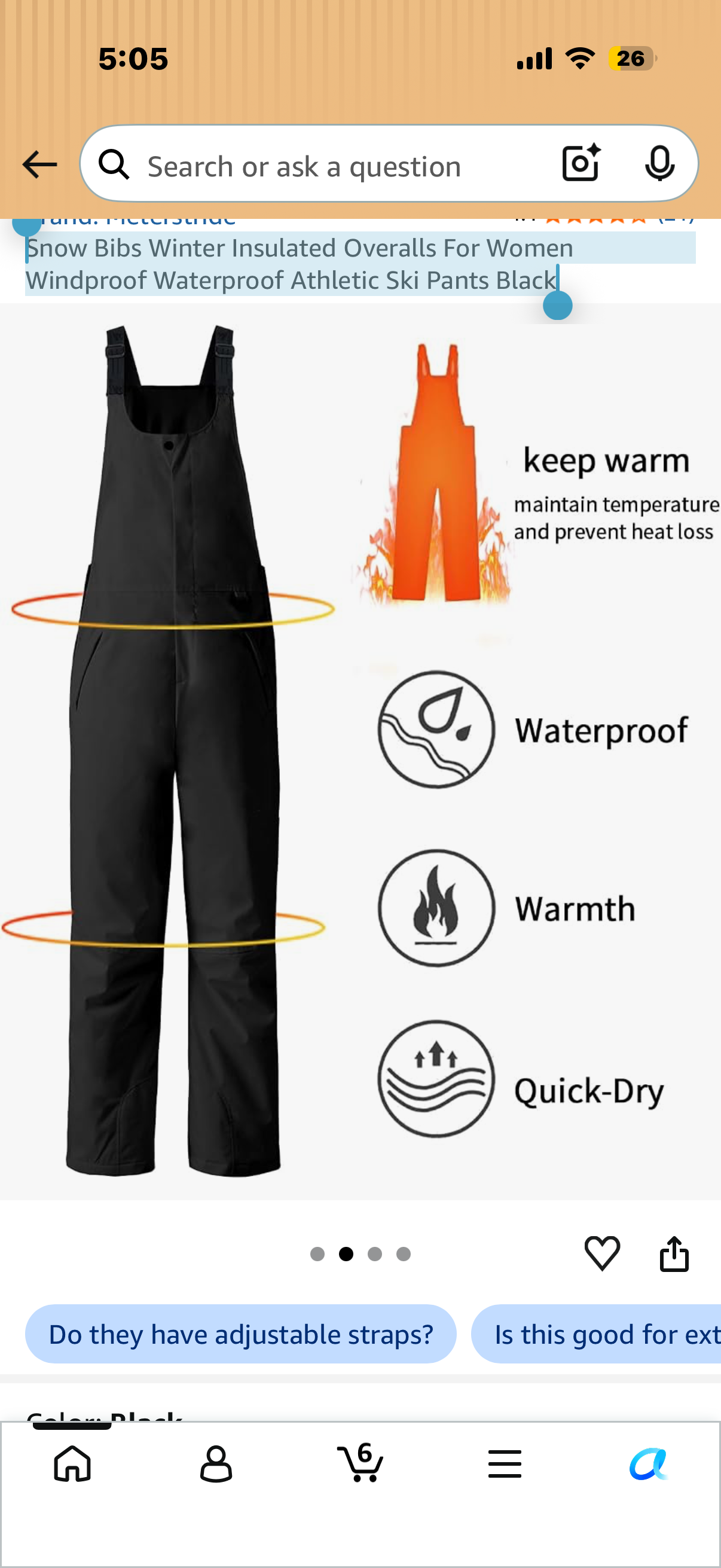 Snow Bibs Winter Insulated Overalls For Women Windproof Waterproof Athletic Ski Pants Black (Size Large)