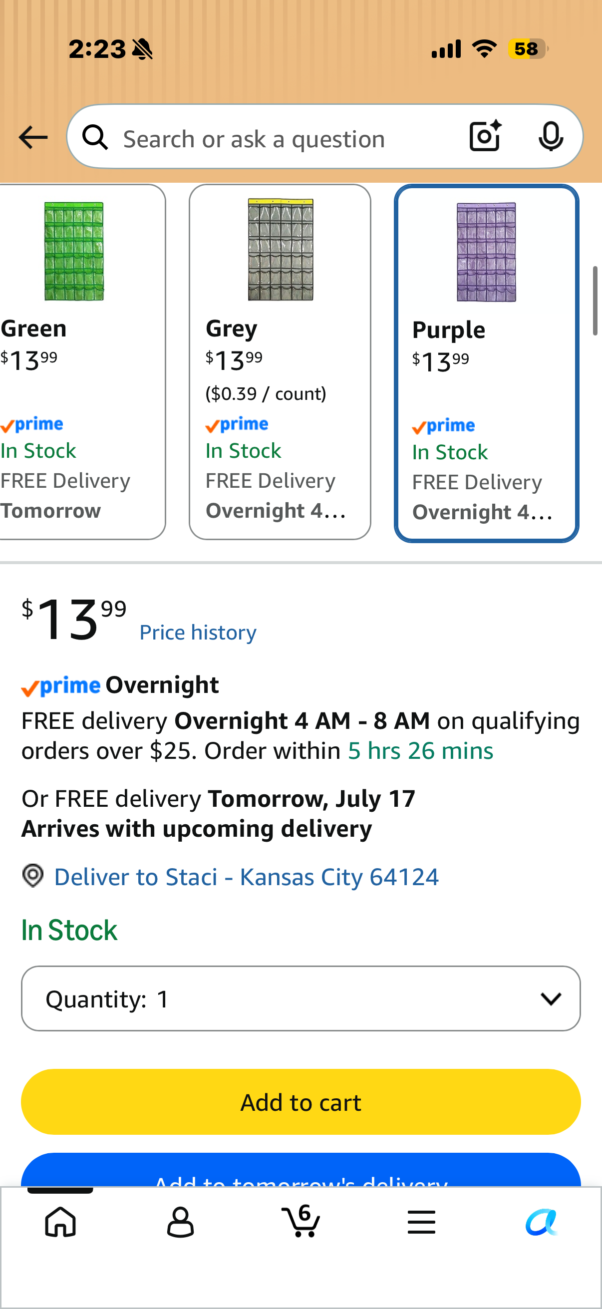4 PM DoorBuster - Hanging Over The Door Organizer
