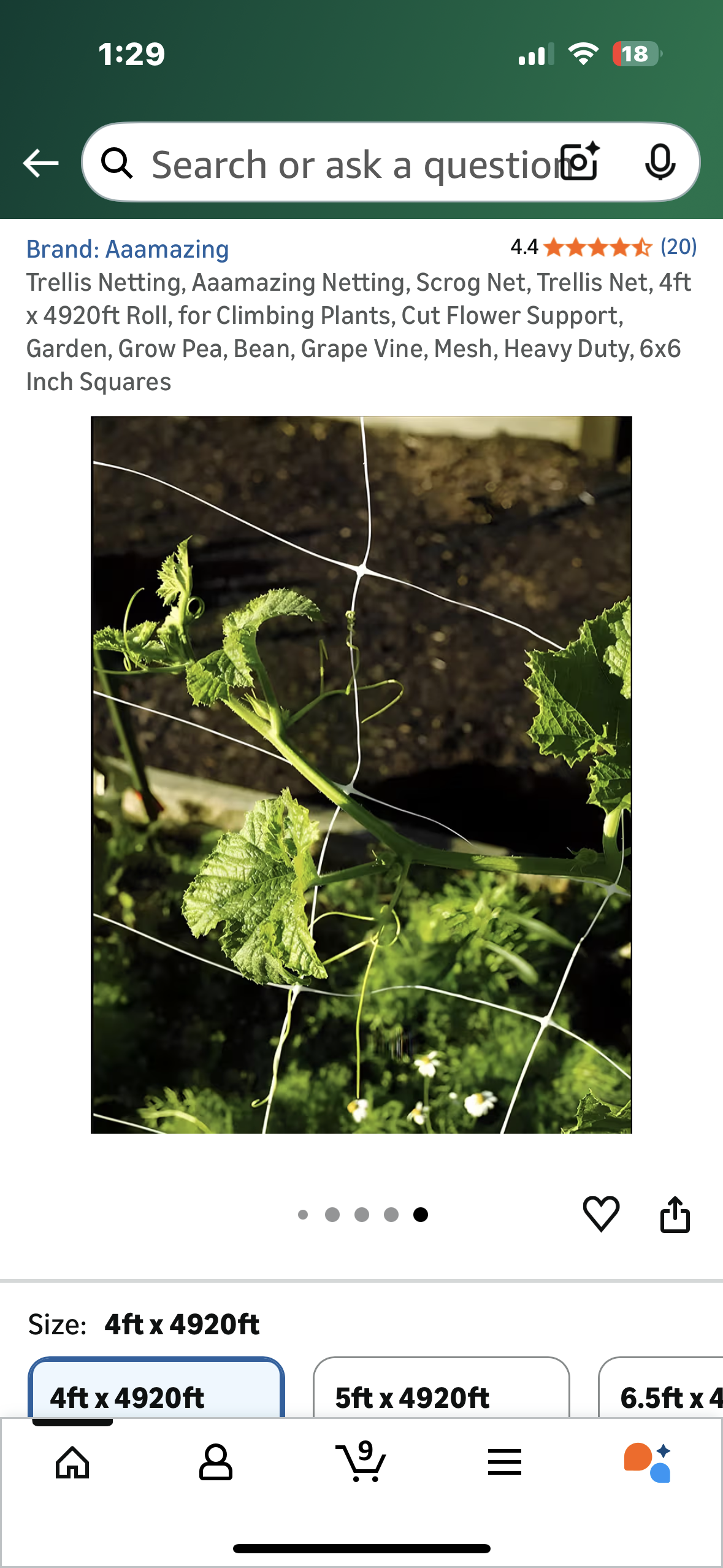 Trellis Netting, Aaamazing Netting, 4ft x 4920ft Roll, for Climbing Plants, Cut Flower Support, Garden, Pea, Bean, Grape Vine, Mesh, Heavy Duty, 6x6 Inch Squares (G916)